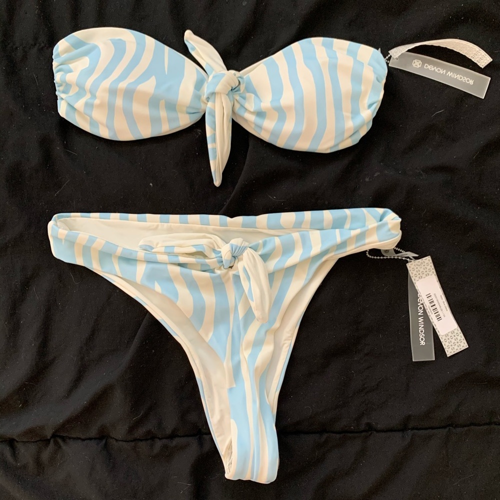 Devon Windsor Swimsuit